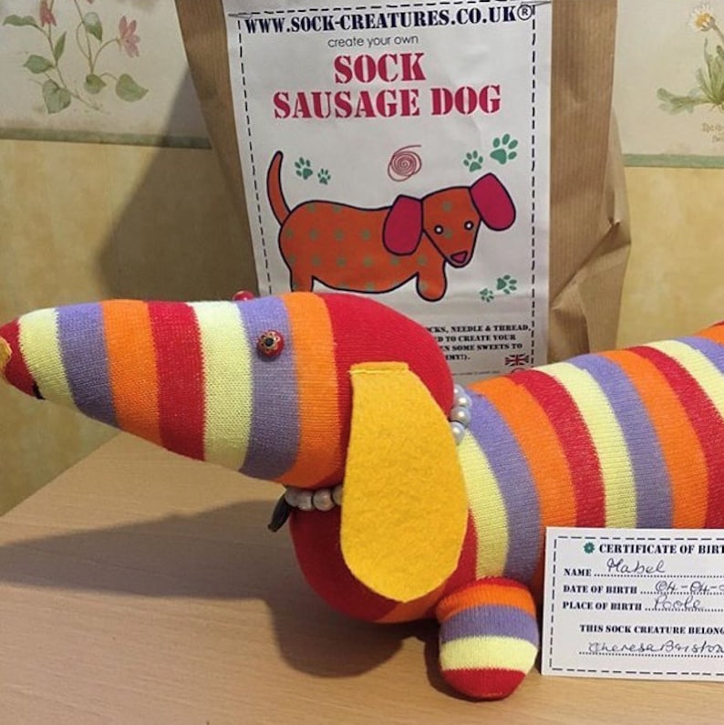 Sock Sausage Dog Craft Kit Craft Kit for Kids Craft Kits Etsy