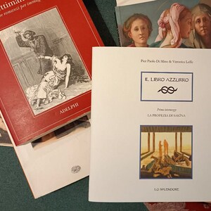 IL LIBRO AZZURRO - primo intermezzo - "La profezia di Sakīna" |                   libro illustrato, rilegato a mano |