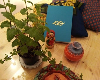 IL LIBRO AZZURRO - capitolo primo - Libro illustrato, rilegato a mano