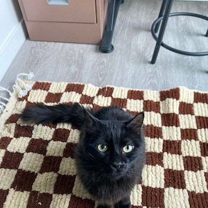 May include: A black cat with green eyes sits on a brown and white checkered rug.