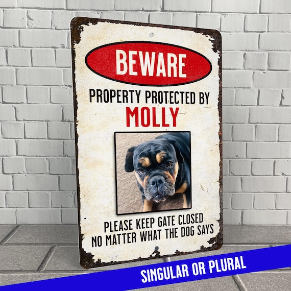 Beware of Dog Sign, Your Dogs Photo, Personalized All Metal Funny