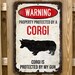 Custom Rusty Green Metal Street Sign With Weathered Appearance 4 X 18 ...
