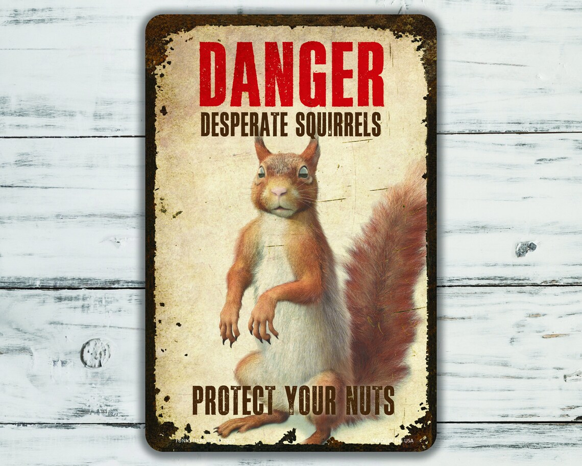 Squirrel Sign Danger Desperate Squirrels Protect Your Nuts Etsy