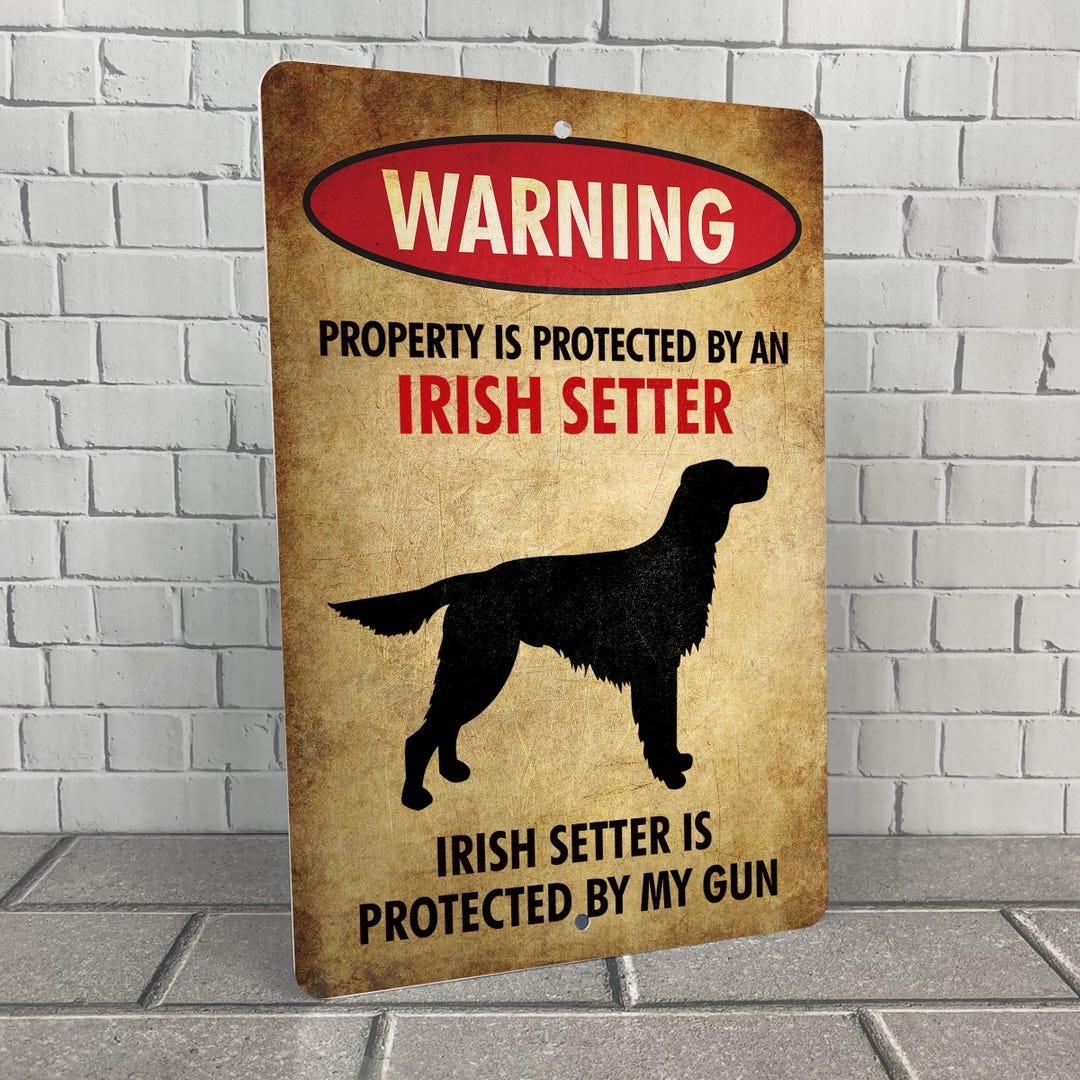 Humorous Irish Setter Metal Sign: Property Protected by Dog Gun
