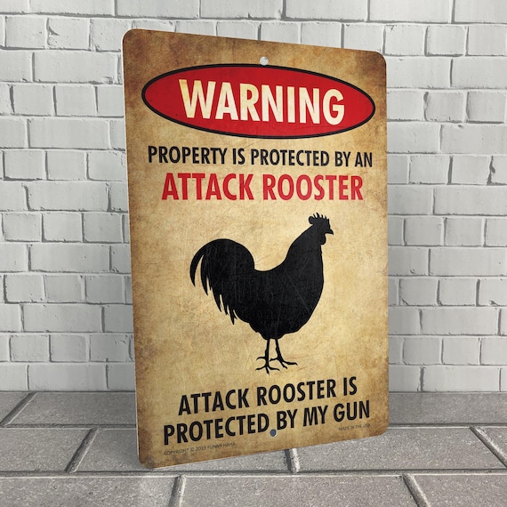 邦楽 THE ROOSTERS virus security 邦楽 THE ROOSTERSZ 