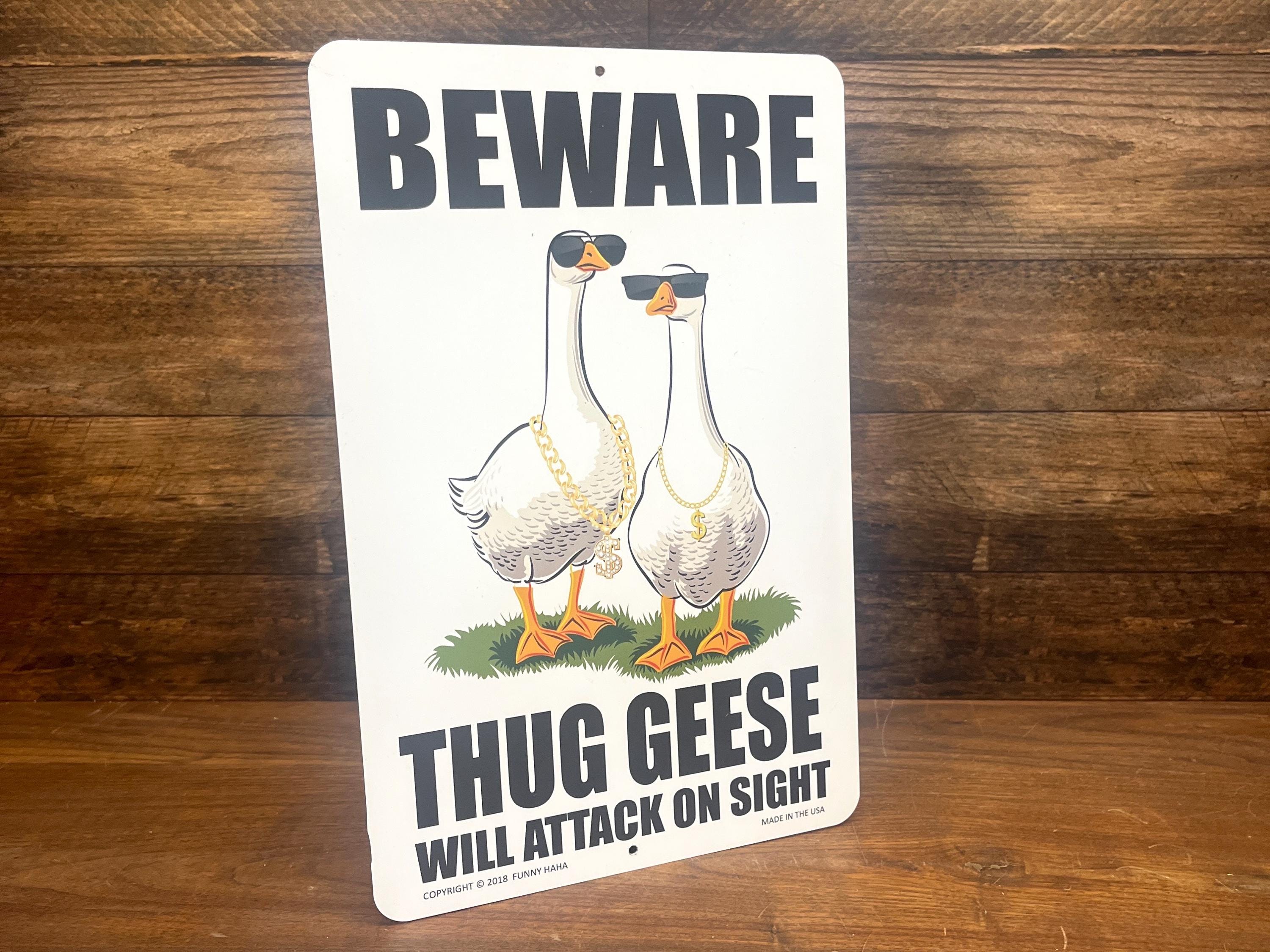 72 resultados de imágenes, fotos de stock e ilustraciones libres de  regalías para Canadian geese attack | Shutterstock, image size:3000x2250