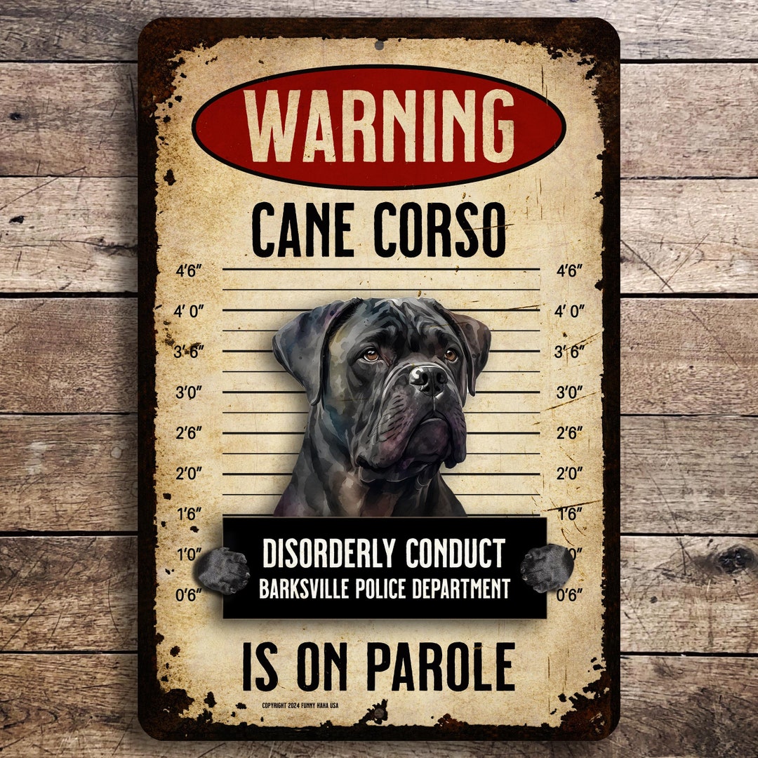 Cane Corso Sign, Cane Corso Mugshot, Funny Cane Corso Gift Etsy