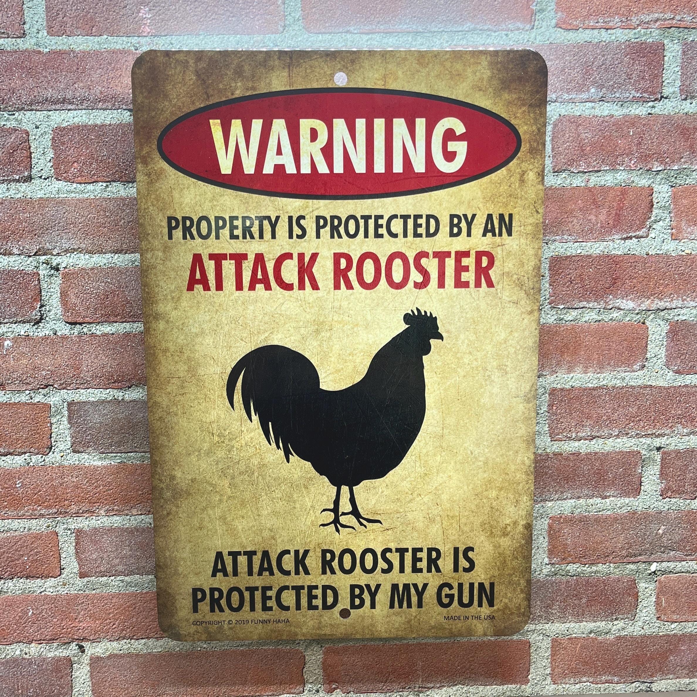 邦楽 THE ROOSTERS virus security 邦楽 THE Roosterz VIRUS