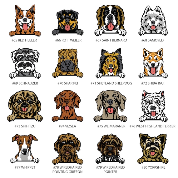 Personalized Beware of Dog Sign: Custom Breed Aluminum Pet Sign - Etsy