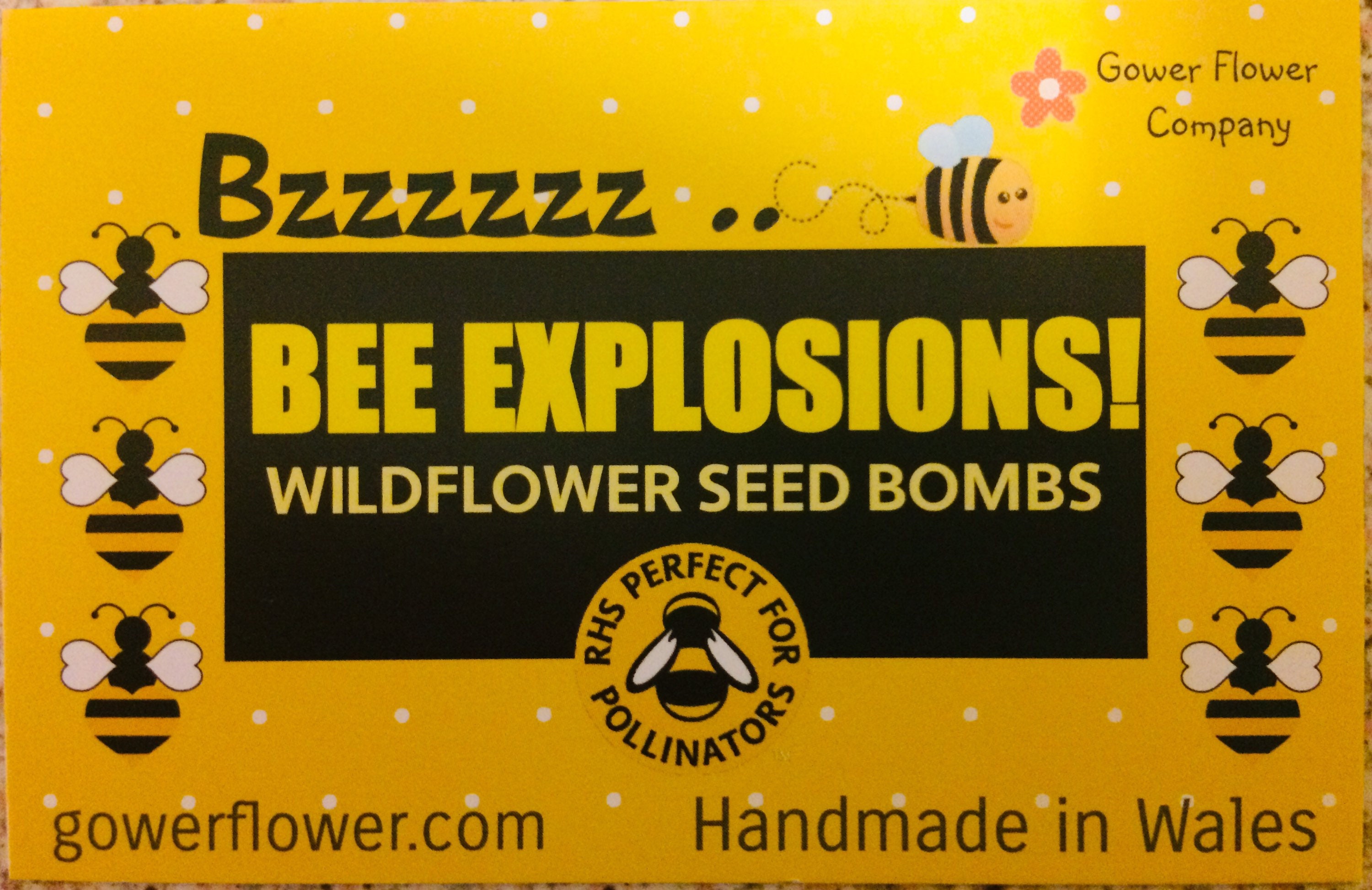 10 x Bee Explosions Party Pack 10 x little packs of 4 Bee Etsy