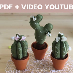 Può includere: Tre piante di cactus in feltro in vasi di terracotta con fiori in feltro rosa e bianco. I cactus sono su un pizzo bianco su una superficie di legno. PDF + VIDEO YOUTUBE