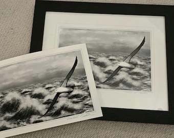 Stormy Albatross Fine Art Print A4