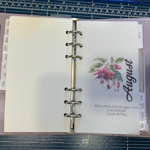 12 Monate Vellum Dashboard Set - Vellum Dashboards - 6-fach gestanzt- A5, Personal, Personal Wide, A6, Pocket