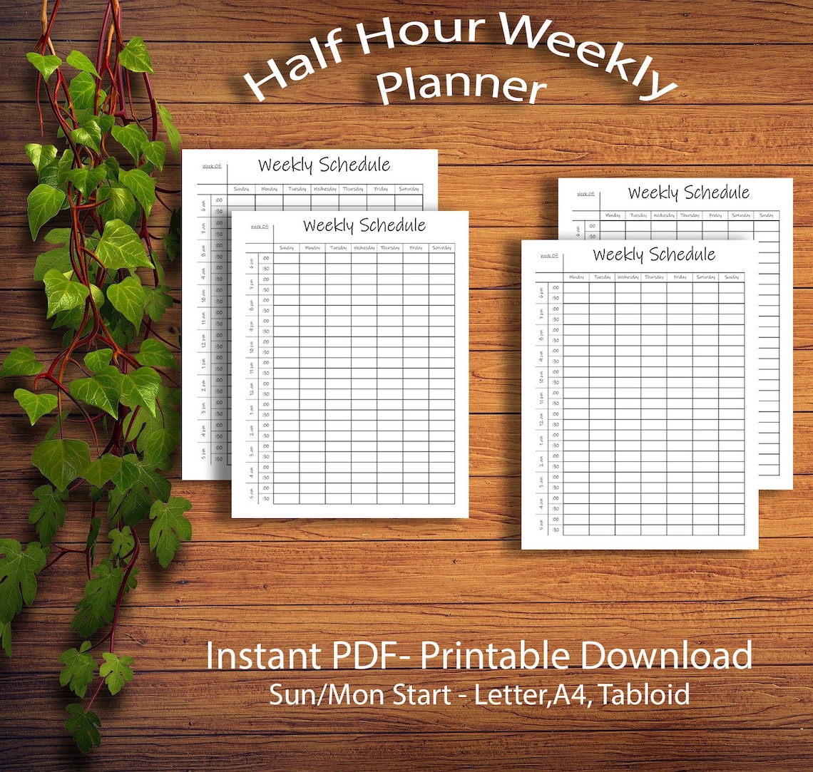 Printable Half Hour Weekly Schedule on Two Pages , Half Hour Daily ...