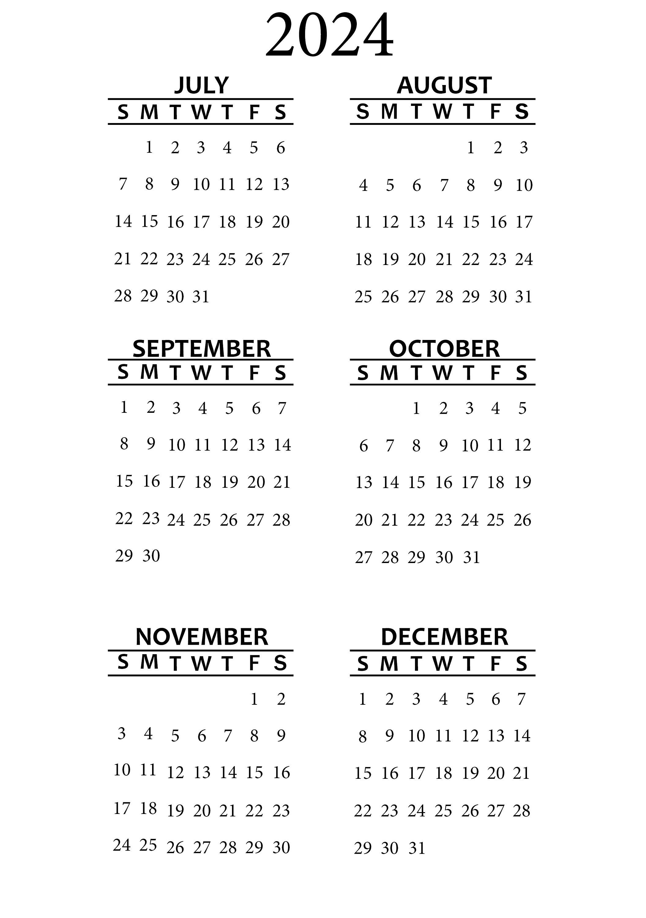 Printable 2024 Year at a Glance Planner Insert Pocket, Micro, Half