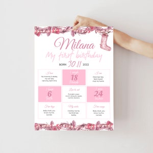 Winter Onederland Girl Milestones Sign Customized Winter One Year Infographic Poster Winter Holidays Girl B-day Milestone Keepsake Banner