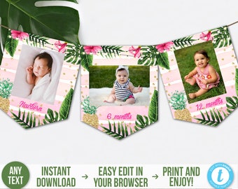 Tropical Monthly Photo Banner Instant Download Hawaiian First Birthday Banner Printable Luau 12 Months Banner Pineapple Aloha Banner TGAP