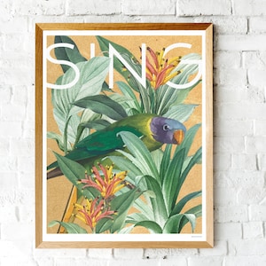 Vintage Botanical Bird Print, Colorful Bird Poster, Tropical Bird Art, Bird Lovers, Parrot Bird Art, Tropical Parrot Poster, Botanical Print