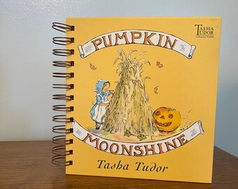 Pumpkin Moonshine repurposed wire bound journal