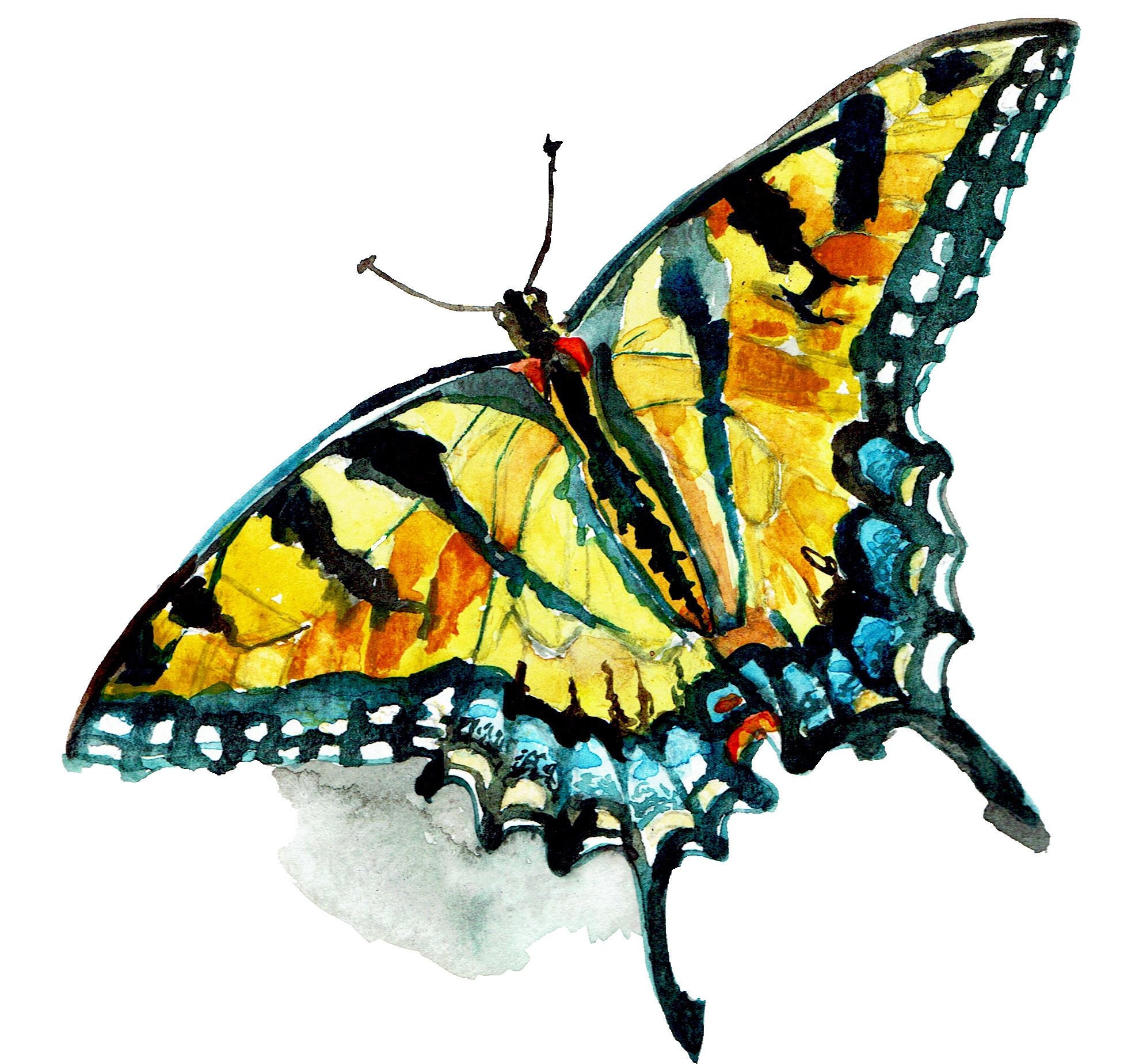 Swallowtail Butterfly - Etsy Swallowtail Butterfly - Etsy