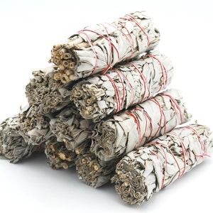 California White Sage 4 inch  Smudge   Bundle Stick sold   1 5, or 10 bundles  cleansing negative energy herb plant