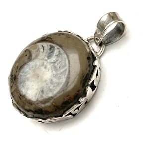 May include: A silver pendant featuring a fossilised ammonite set in a decorative silver frame.