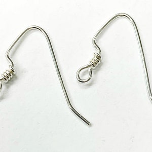 May include: Two silver earring hooks with a coiled wire loop at the top.