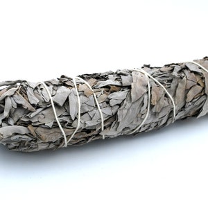 California White Sage large 9 inch  Smudge  Stick sold  as 1   Or 10 bundles  cleansing negative energy herb plant
