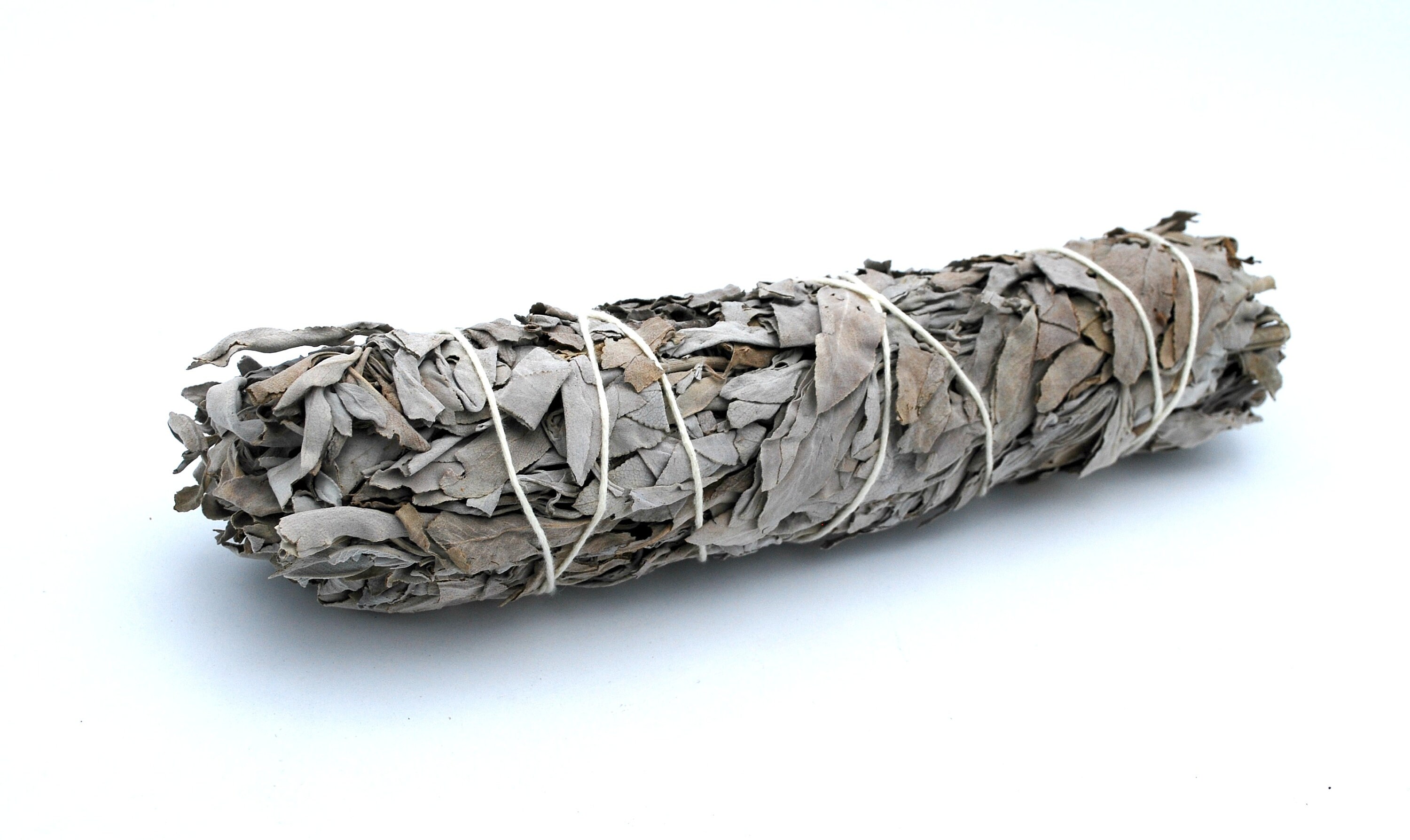 California White Sage large 9 inch  Smudge  Stick sold  as 1   Or 10 bundles  cleansing negative energy herb plant