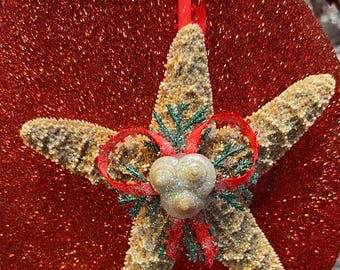 May include: A starfish Christmas ornament with a red ribbon and a green sprig of pine. The starfish is decorated with small white beads and has a pearl-like shell in the center.