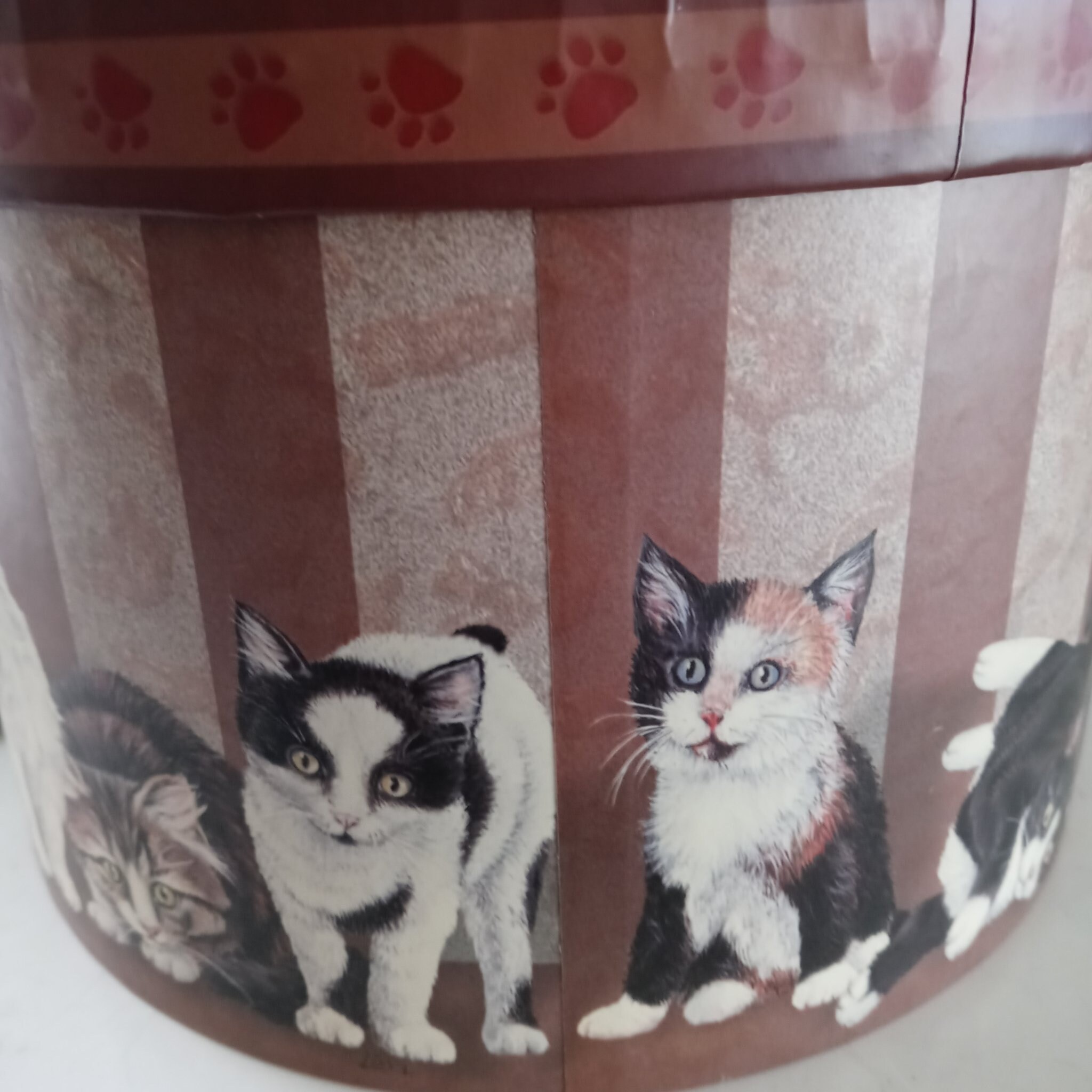 Round Storage Sewing Trinket Cat Box Etsy