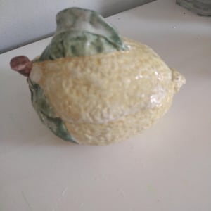 Majolica-citroenkruiderijpot
