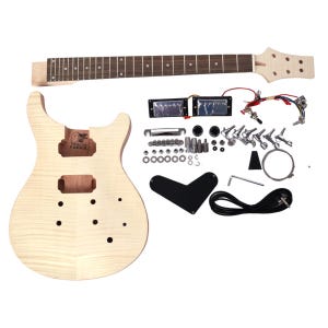DiY Guitar Kit - PR in Mahogany with Flame Maple Veneer, Maple Neck with Rosewood Fretboard- Beginner Build Level-Perfect Gift for Guitarist