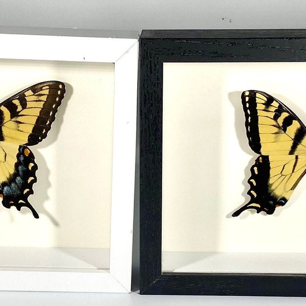 Butterfly Home Decor Etsy