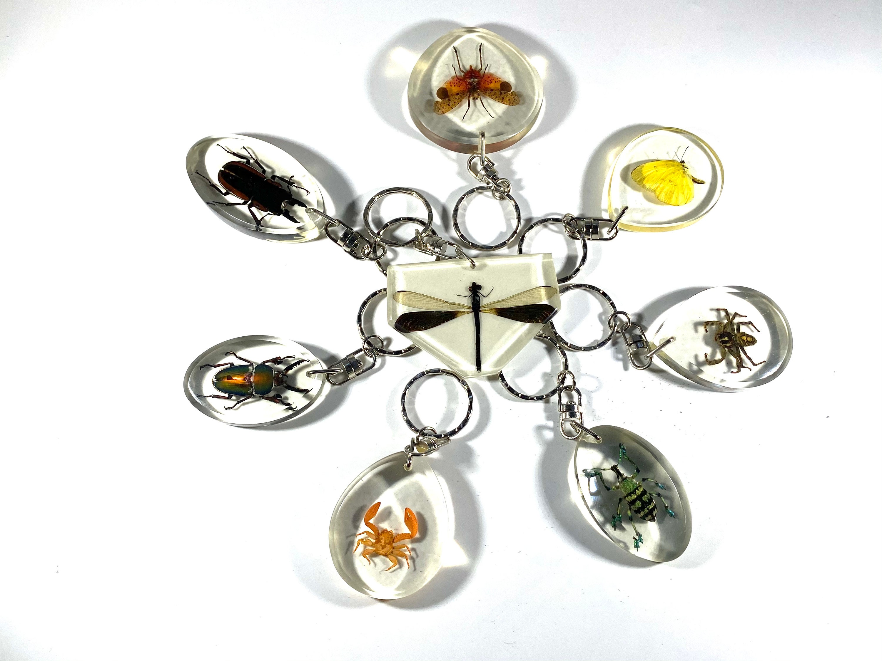 Real Assorted Resin Insect Keychains lot Etsy