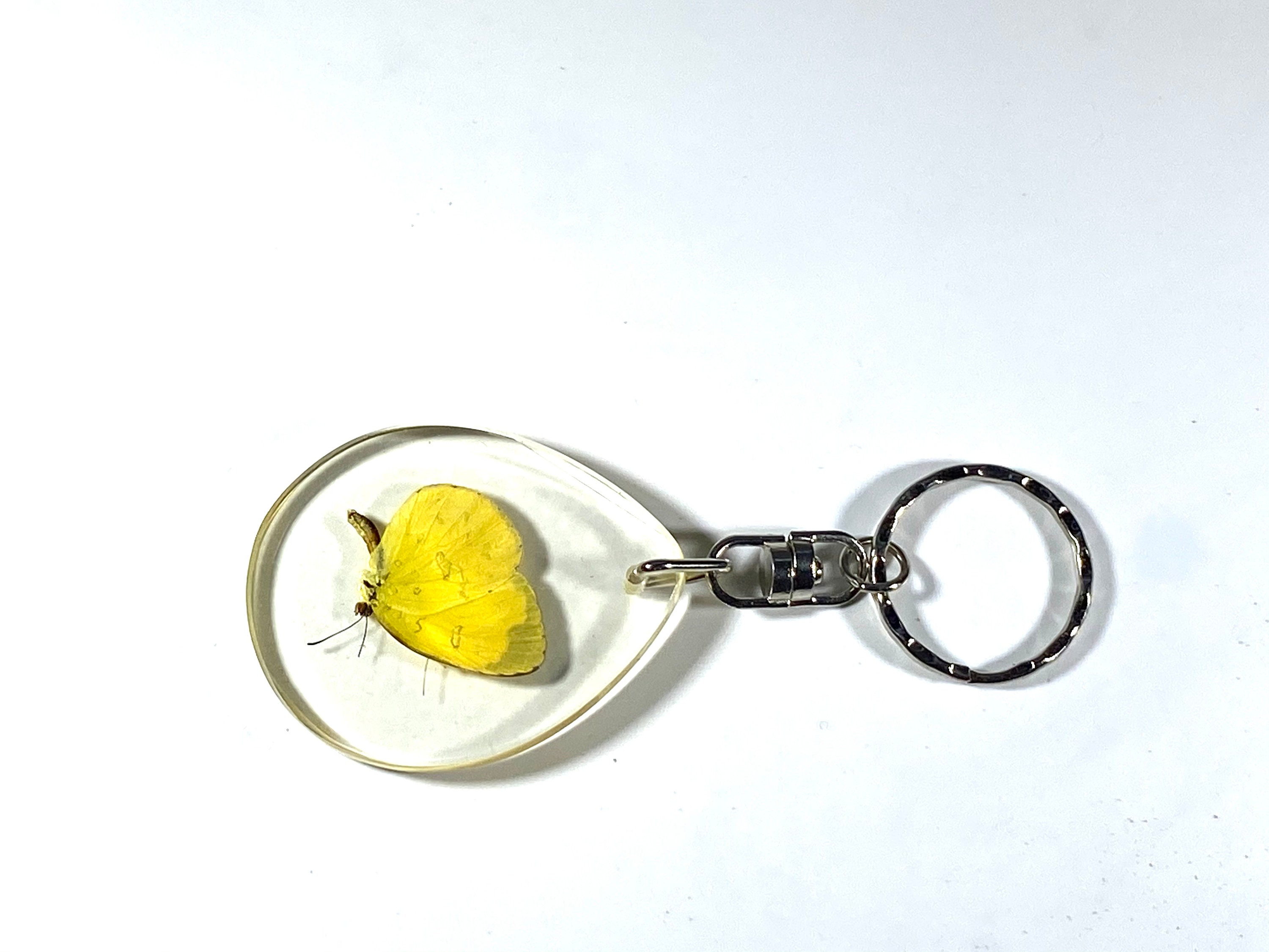 Real Assorted Resin Insect Keychains lot Etsy