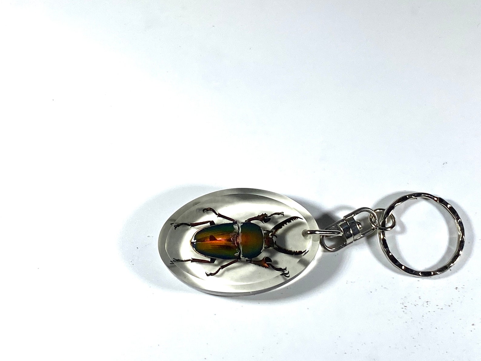 Real Assorted Resin Insect Keychains lot Etsy