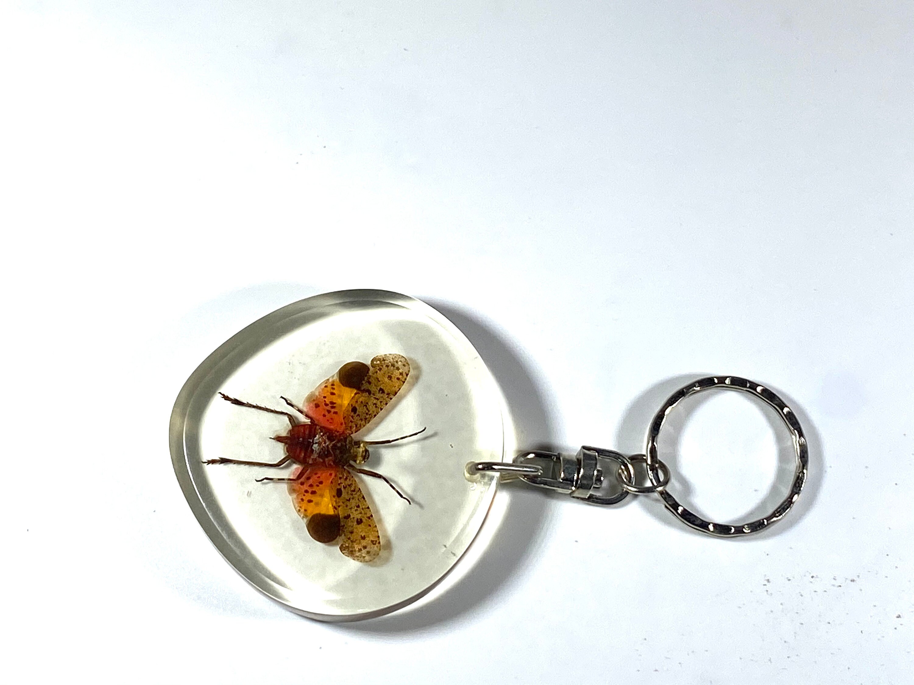 Real Assorted Resin Insect Keychains lot Etsy