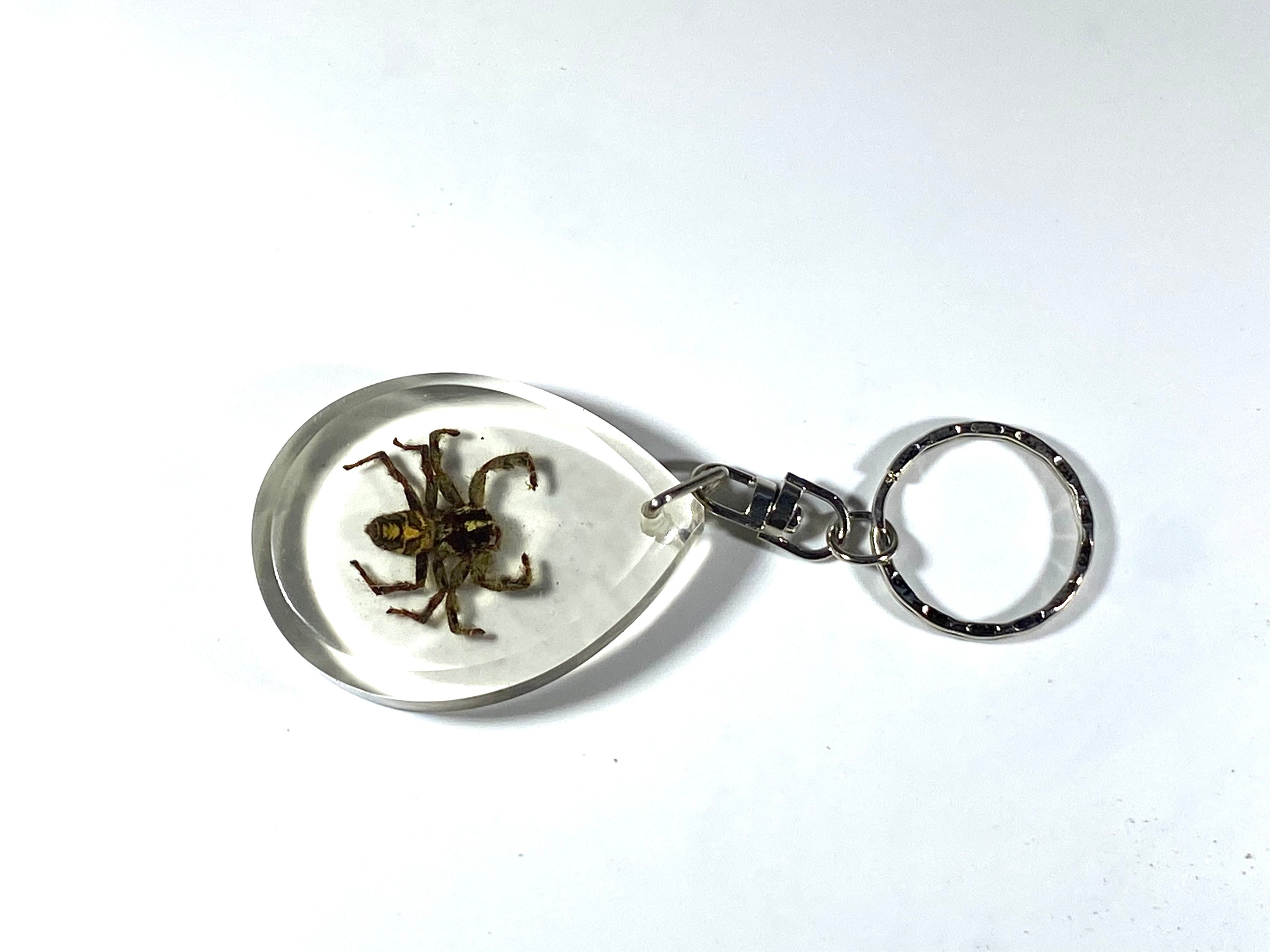 Real Assorted Resin Insect Keychains lot Etsy