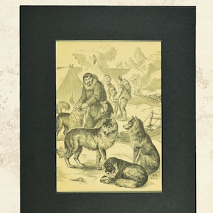 Vintage Husky Dog Print Matted Dog Sled Wall Art Huskies Decor Cabin Animal Antique