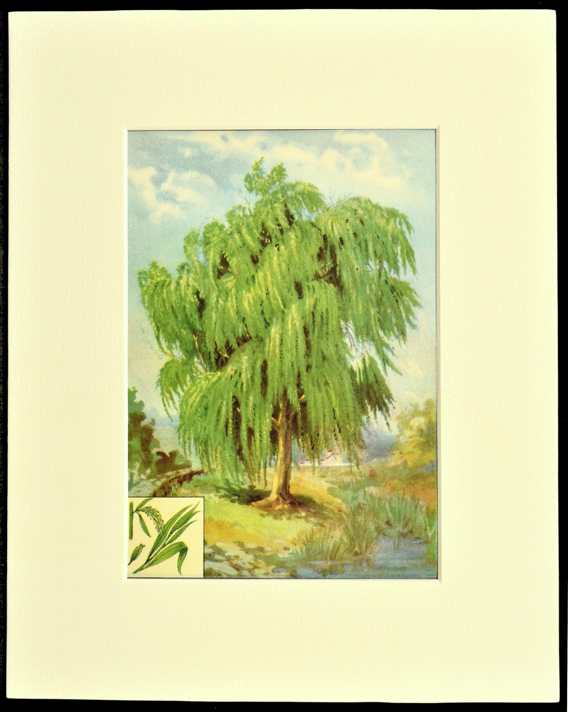 willow tree art by my side