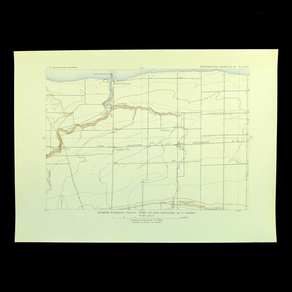 Antique Carlton Map of Oak Orchard New York Topographic USGS Orleans County Map Waterport Station Point Breeze Kent Gaines Sawyer