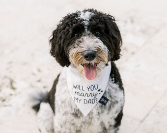 Will You Marry My Dad Dog Bandana, Cute Engagement Announcement Idea, Tails Up Pup, Unique Engagement Present
