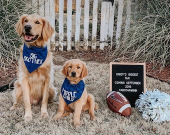 Big Brother or Big Sister Over The Collar Dog Bandana, Cute Pregnancy Announcement Idea with Dogs, Tails Up Pup