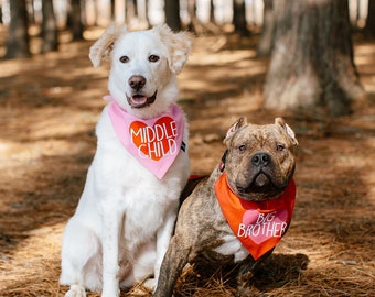 Valentine's Day Pregnancy Announcement Idea with Dogs, Big Brother or Big Sister Over The Collar Dog Bandana, Tails Up Pup, Cute Valentine