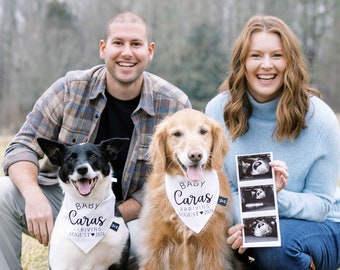 Custom Pregnancy Announcement Dog Bandana, Cute Pregnancy Announcement Idea, Tails Up Pup, Pregnancy Announcement Accessories