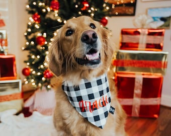 Buffalo Plaid PERSONALIZED Over The Collar Dog Bandana, Christmas Photos, Christmas Cards, Christmas Plaid