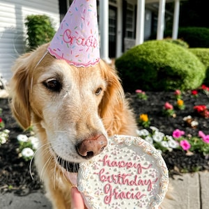 Personalized Dog Birthday Hat – Embroidered with Your Pup’s Name | Handmade in Pink, Blue, or White | Dog Birthday Party Decor