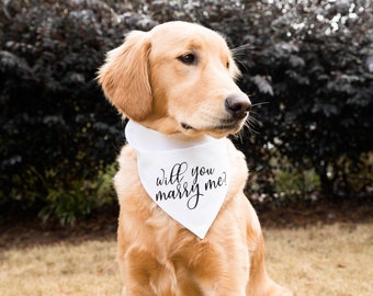 Will You Marry Me Over The Collar Dog Bandana, Cute Dog Proposal Idea, Tails Up Pup, Unique Proposal, Proposing With A Dog