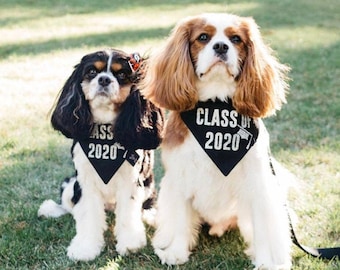 Class of 2026 GRADUATION Over The Collar Dog Bandana, Graduation Announcement Idea, Graduation Photo Prop, Tails Up Pup